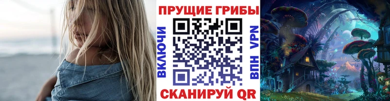 ссылка на мегу зеркало  Ачхой-Мартан  Галлюциногенные грибы Psilocybe 